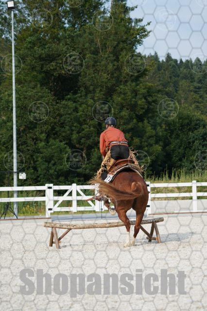 s_A_901417.JPG